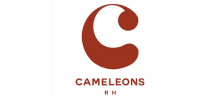 logo interim cameleon