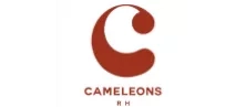 logo interim cameleon